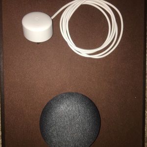 Google home mini